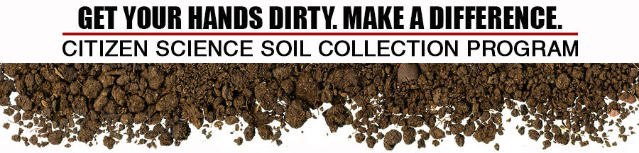 Collection logo